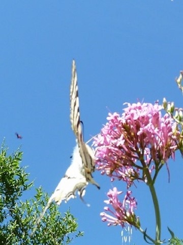 libérer imaginaire et créativité